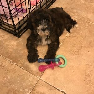 Meet your Posher, Dana